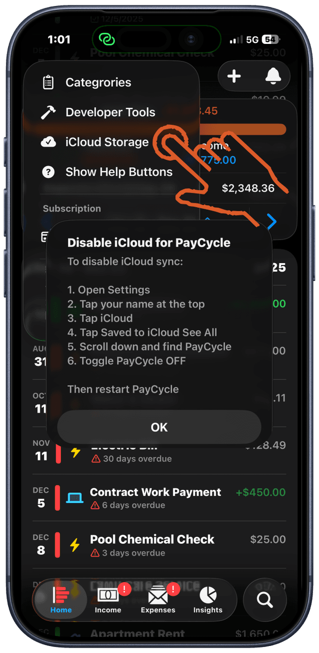 Privacy & iCloud Sync
